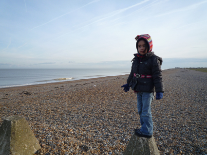 31 Jan Sandwich bay.jpg